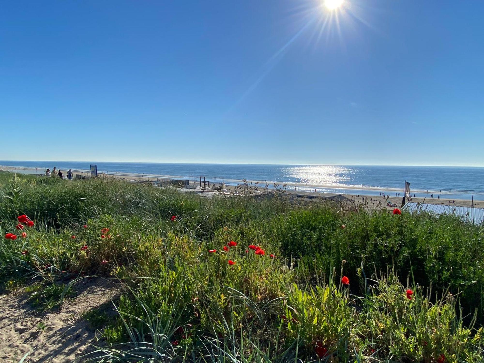Maison Rue De La Mer Zandvoort Exteriér fotografie