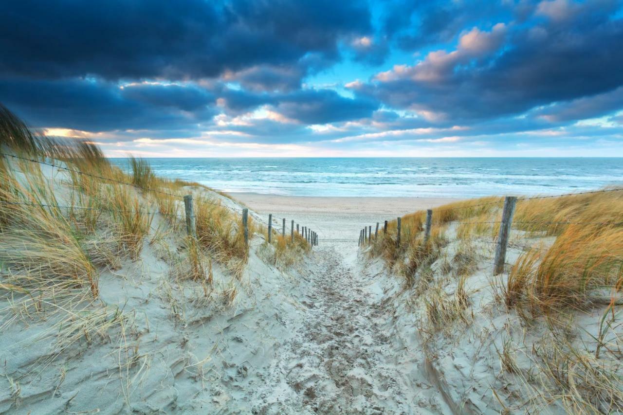 Maison Rue De La Mer Zandvoort Exteriér fotografie